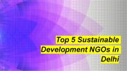 Top 5 Sustainable Development NGOs in Delhi