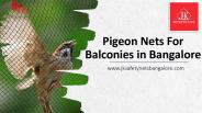 Pigeon Nets for Balconies in Bangalore