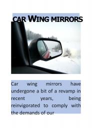 Car Wing Mirrors