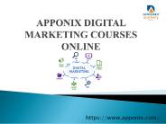 Apponix digital marketing