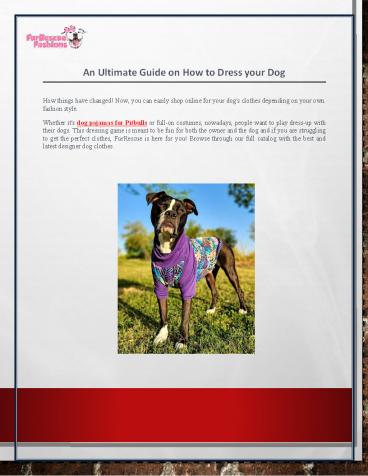 An Ultimate Guide on How to Dress your Dog