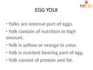 Egg Yolk