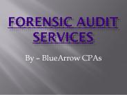 Top-Rated Forensic Auditing Service Provider – BlueArrowCPA