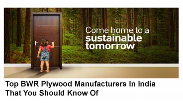 Top BWR Plywood Manufacturers In India That You Should Know Of