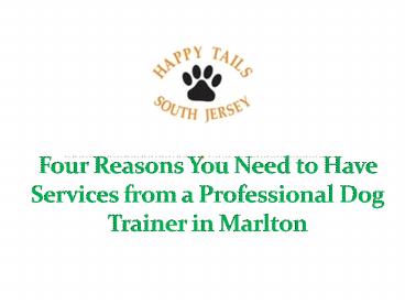 Four Reasons You Need to Have Services from a Professional Dog Trainer in Marlton