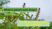 What is panch tulsi drops?