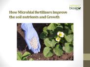 Microbial fertilizers for better plant growth