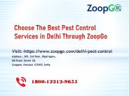 Hire the Pest Control Services in Delhi