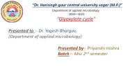 Glyoxylate cycle