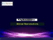 Biblical Reproductions