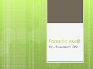 Forensic Auditing Service Provider in the USA – BlueArrowCPA