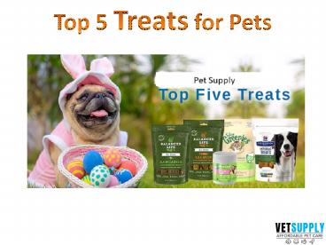 Top 5 Treats for Pets | Training Treats | Dental Treats | VetSupply