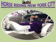 centralparkcarriages (13)