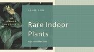 Rare Indoor Plants