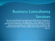 Business Consultancy Services