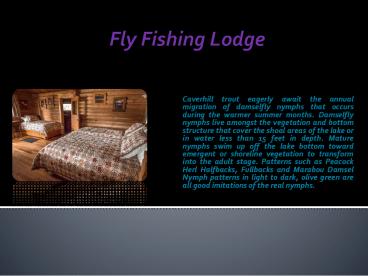Fly Fishing Lodge