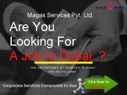 How to get job in Dubai | Complete details- MAGAS