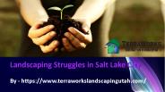 Landscaping Struggles in Salt Lake City