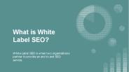 What is White Label SEO?