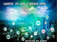 White Plain Consulting