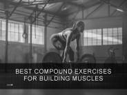 Compound Exercises for Building Muscles