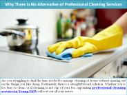 Why There Is No Alternative of Professional Cleaning Services