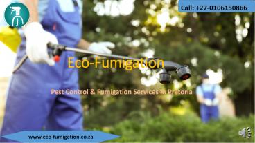 Pest Control & Fumigation Services in Pretoria