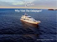 Why Visit The Galapagos