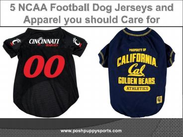 5 NCAA Football Dog Jerseys and Apparel you should Care for