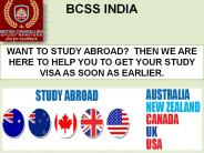 Best Education Consultants in Chandigarh