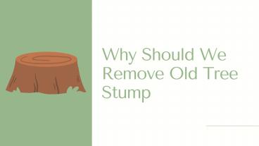 Why Should We Remove Old Tree Stump