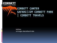 Corbett Canter Safari|Jim Corbett Park | Corbett Travels