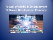 Factors of Media & Entertainment Software Development Company