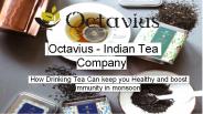 Octavius - Indian Tea Company
