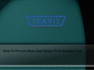 Travis Pest Services