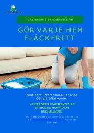 GÖR VARJE HEM FLÄCKFRITT
