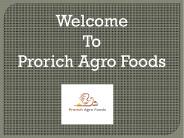 Rice Gluten Manufacturer in India