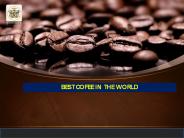Best Coffee In The World