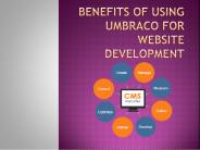 Benefits of Umbraco CMS Development