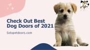 Check Out Best Dog Doors of 2021