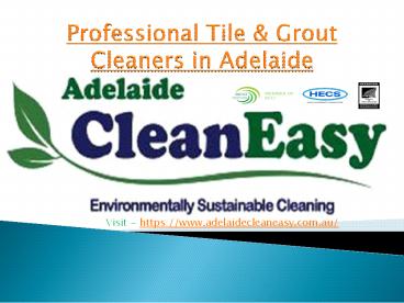 Can You Use Dawn To Clean Upholstery In Adelaide?