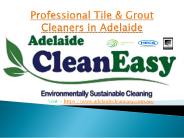 Can You Use Dawn To Clean Upholstery In Adelaide?
