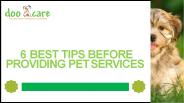 Elmhurst and Naperville Dog Poop Removal Services