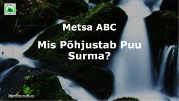 Mis Põhjustab Puu Surma? | Metsa ABC