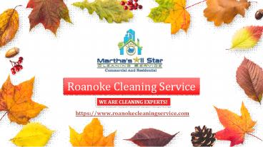 Professional Cleaning Services in Roanoke