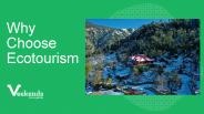 Why Choose Ecotourism