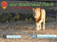 Reserve India Tours
