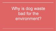 Why Is Dog Waste Bad For The Environment?