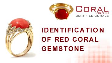 Identification of Red Coral Gemstone