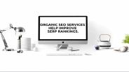 Organic SEO Services Improve SERP Rankings
